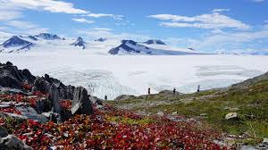 It feeds nearly three dozen glaciers flowing out of the. Kenai Fjords National Park U S National Park Service