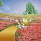Candlelight: The Wizard of Oz - A Classical Concert event image