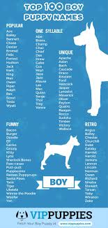 This hindu names list contains cute, modern, unique and beautiful. Puppy Names For Boys 1 000 Fantastic Name Ideas Vip Puppies
