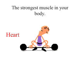 Which part of the human body gets replaced every month? Body Trivia Test Your Knowledge Of The Human Body With These Amazing Facts Ppt Download