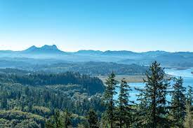 Check spelling or type a new query. Do Us Expats Need To File Oregon State Taxes Myexpattaxes