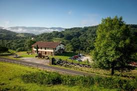 Image result for Casearia runssorica