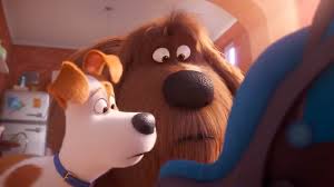 Among all the films netflix has to offer, their lineup of here are the 20 best action movies to watch on netflix—none of and these days the genre is crossing over into best picture territory, where the likes of inception, black panther, mad max: The Secret Life Of Pets 2 Meet The Voices Behind Each Animated Performer Hollywood Reporter