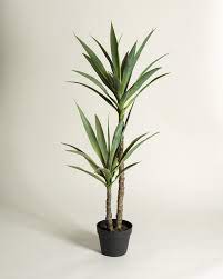 Buy artificial yucca plant at blooming artificial. Yucca Tree Artificial Plant Oliver Bonas