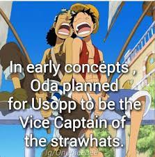 Nami Has Control Most Of The Time But Luffy Makes The Big Decisions And Makes Them Final And I One Piece Theories One Piece Main Characters One Piece World