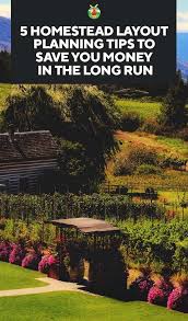 5 Homestead Layout Planning Tips To Save You Money In The Long Run Homestead Layout Homesteading Farm Layout