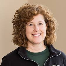 Meet the Office Team