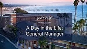 Complete executive assistant job description. How To Become An Executive Assistant To General Manager Zippia
