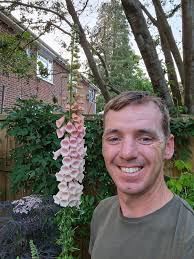 Super proud of my foxglove grown from seed last year, well worth the wait