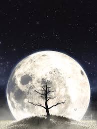Each day the moon rises about fifty minutes later than the previous day, with a full moon always rising at sunset…. Dead Tree And Moon Silhouette Digital Art By Allan Swart