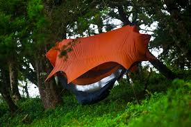 The trillium is our amazing triple. Tree Tent Wikipedia