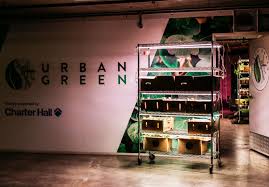 It is one of the 20th century's most famous and distinctive buildings. Descend To The Basement Of A Barangaroo Office Tower And You Ll Find Urban Green A Subterranean Farm Supplying Top Sydney Restaurants