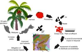 Sign up now to enjoy the early bird rate! Soil And Transport Factors In Potential Distribution Systems For Biofertilisers Derived From Palm Oil Mill Residues In Malaysia Sciencedirect