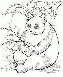 Ausmalbilder tiere panda malvorlage panda schöne malvorlagen ausmalbilder kung fu panda ausdrucken 1 ausmalbilder malvorlagen von kung fu panda kostenlos zum. Ausmalbilder Panda 100 Malvorlagen Kostenlos Zum Ausdrucken