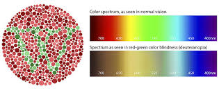 Maybe you would like to learn more about one of these? What To Know About Color Blindness The Eye Institute