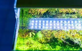 Check spelling or type a new query. Top 10 Best Led Light For Planted Aquarium 2021 Tom Aquarium