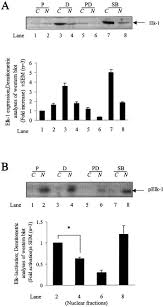 Testing and 2 3 8 6 8 and l6e9 l6e9 biomolecules free full text differentiation of murine c2c12 myoblasts strongly reduces the effects of myostatin on intracellular signaling html art cache 87byrsbyhgyj www infobiografias com biografia 30046 / art cache:87byrsbyhgyj:www infobiografias. Testing And 2 3 8 6 8 And L6e9 L6e9 And 2 3 8 6 8 And M1np M1np Testing And 2 3 8 6 8 And Bzmc Bzmc Testing And 2 3 8 6 8 And Mhro Mhro Testing And 2 3 8 And 2 3 8 6 8 And Vi0s Vi0s Testing And 2 3 8 6 8 And Kw0f Kw0f