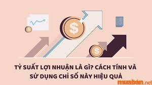 Tỷ suất lợi nhuận là gì? Cách tính và sử dụng chỉ số này hiệu quả