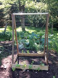 We did not find results for: Make A Cucumber Trellis Out Of Scrap Wood Hobby Farms
