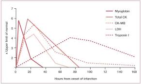 Heart Enzyme Levels Chart The Future