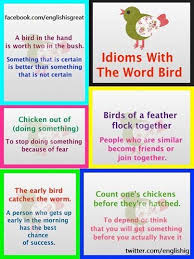 Birds Of A Feather Flock Together Meaning In English Idioms With The Word Bird Learn English English Words Idioms