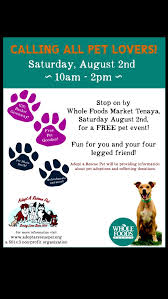 Maybe you would like to learn more about one of these? Pin On Las Vegas Boxer Club Rescue