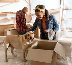 Get the 5 best nearby with just one request. Pet Care Services In Chennai Homes Of Heaven