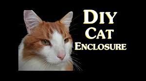 Diy outdoor cat shelter for the feral cats that come visiting and made from waste timber. Diy Cat Enclosure How To Save Money By Making A Cheap Do It Yourself Diy Outdoor Cat Enclosure Youtube