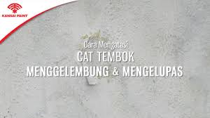 Cara memperbaiki cat tembok yang mengelupas. Cara Mengatasi Cat Tembok Menggelembung Dan Mengelupas Youtube