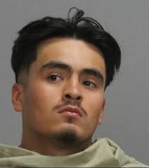 Driver in wrong way pursuit in custody