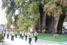 Find out what they think about this town where 300 people live. Ahuehuete Definition Et Synonymes De Ahuehuete Dans Le Dictionnaire Espagnol