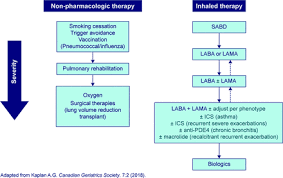 Image result for COPD Exacerbation Decision Tool