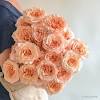 Our menagerie bare root rose collection is perfect for the rose aficionado and novice gardener alike. Https Encrypted Tbn0 Gstatic Com Images Q Tbn And9gcrawxg4wisgcrznxqpjuiagqsmqwagdbji33v Zhho Usqp Cau