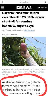 2) had umur 17 tahun ke 60 tahun. Testimoni Kerja Petik Buah Australia Posts Facebook