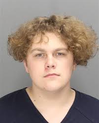 Teen killer of 2 to have Miller hearing for possible life sentence