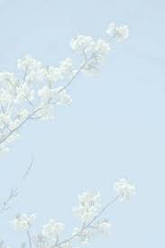 Download 4k wallpapers of best flowers, roses, tulips, lotus, lily, poppy, dahlia, cherry blossom for desktop & mobile phones in high quality hd, 4k, 5k resolutions. Imagen De Flowers Blue And Pastel Blue Aesthetic Pastel Aesthetic Light Blue Aesthetic