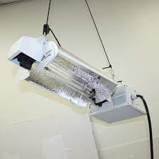 Ballasts power the light bulbs. 277v Double End De Hydroponic Grow Light Kit Adjust Hood 1000w Ballast Hps Bulb Econosuperstore