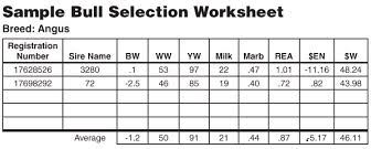 Bull Auction How We Choose Bulls For Our Farm Video