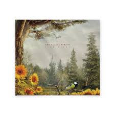 Lovely bouquet of pink gerberas. Slow Decay Rsrc Rise Records