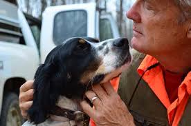 Northwoods Bird Dogs