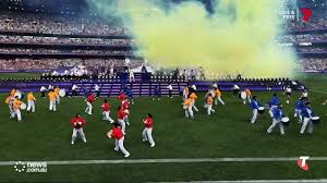 Vídeo de cavalos transando