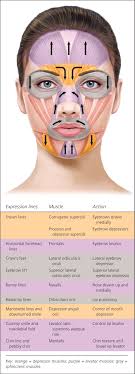 botulinum toxin injection for facial wrinkles american