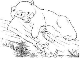 Als kreative anregungen gibt es malvorlagen und ausmalbilder. Ausmalbilder Tiere 16 Ausmalbilder Und Basteln Mit Kindern Malvorlagen Tiere Ausmalbilder Tiere Ausmalbilder