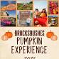 Brocksbushes Pumpkin Picking Experience event image