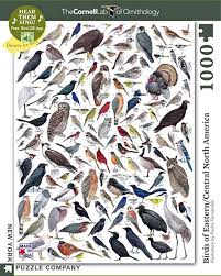 Birds Of Eastern North America Puzzle New York Puzzle Company Cornell Lab Birds Of Eastern Central North America 1000 Piece Jigsaw Puzzle Boston City Map North America Nyc Subway Map