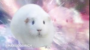 Transcendent Cat Joke Battles Wikia Fandom