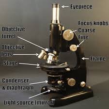 Target.com has been visited by 1m+ users in the past month Revive An Old Microscope Proper Cleaning New Light Source With Plywood And Camera Adapter 10 Steps With Pictures Instructables