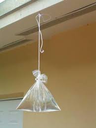 Bag Of Water And A Penny To Repel Flies It Works According To Many Sources Fly Repellant Garden Remedies Pendant Light