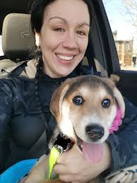 Welcoming a new pet to the family