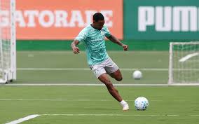 Paulinho treina sem restrições, e Palmeiras terá mudanças na escalação para Libertadores